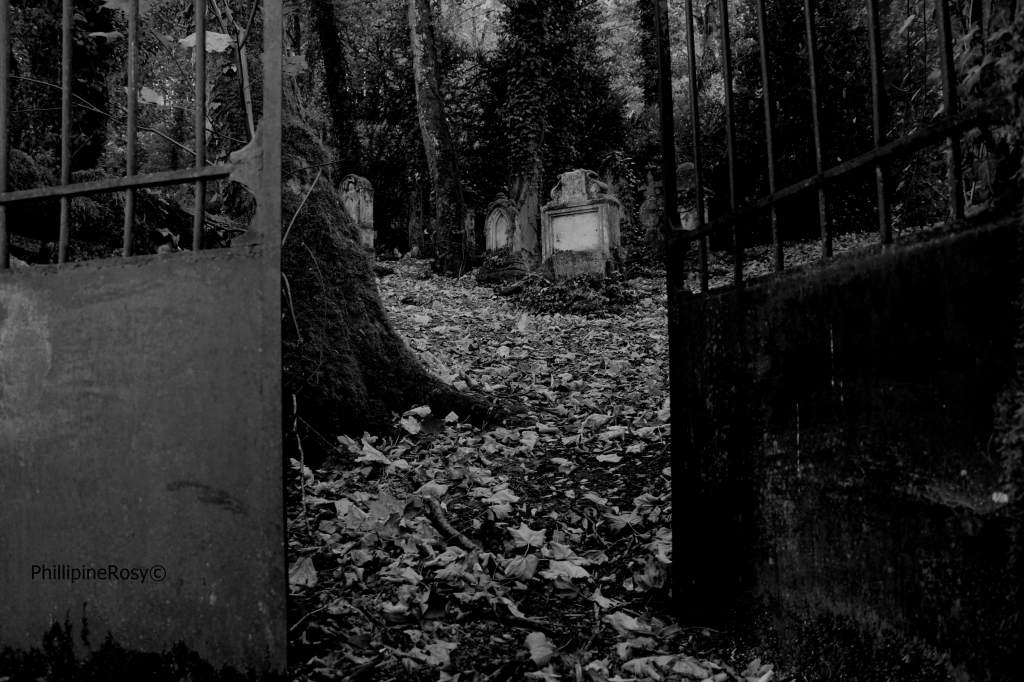 La nuit de&nbsp;mai.